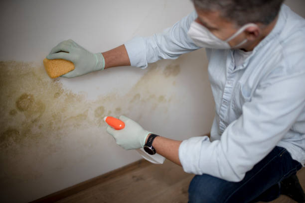 Best Residential Mold Removal  in Colonial Rk, PA