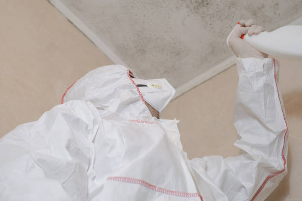 Best Emergency Mold Removal  in Colonial Rk, PA