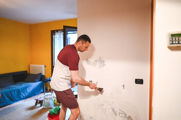 Best Mold Testing  in Colonial Rk, PA